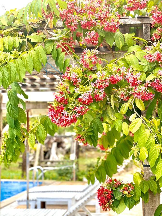 Hotel Lien Tho Phu Quoc