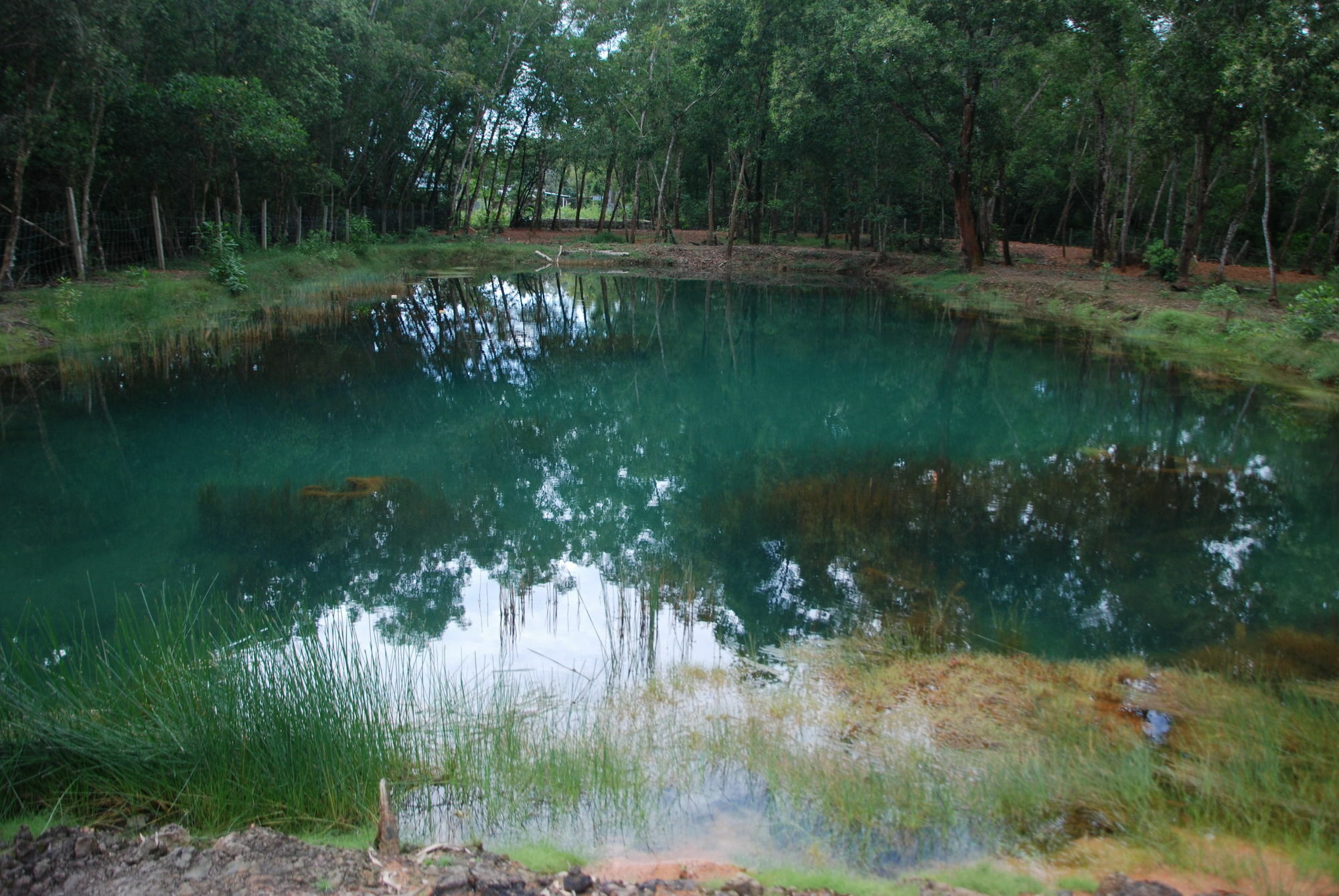 Lien Tho Phu Quoc